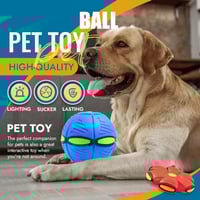 🐾Pelota Voladora para mascotas🔥